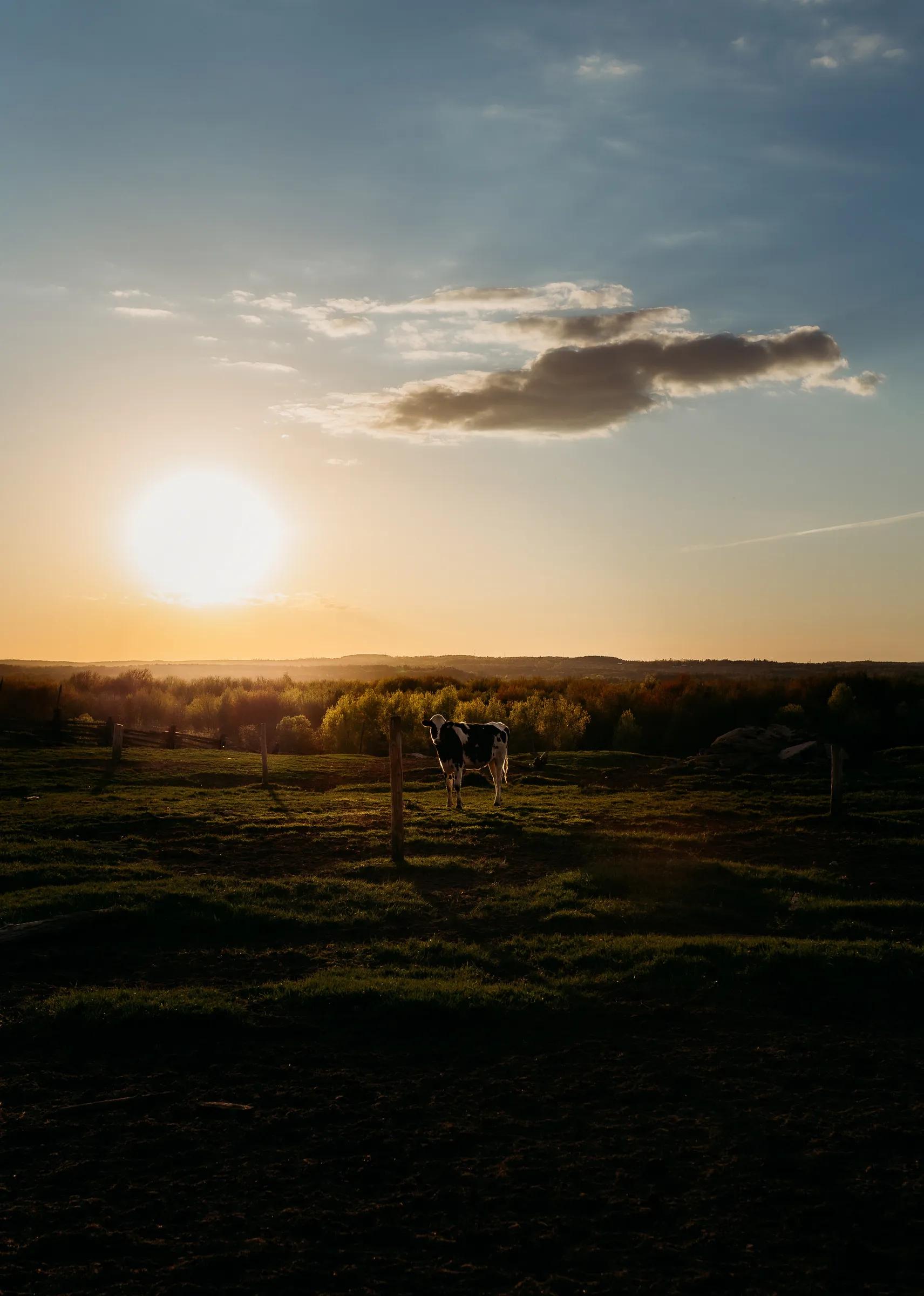 Agriculture