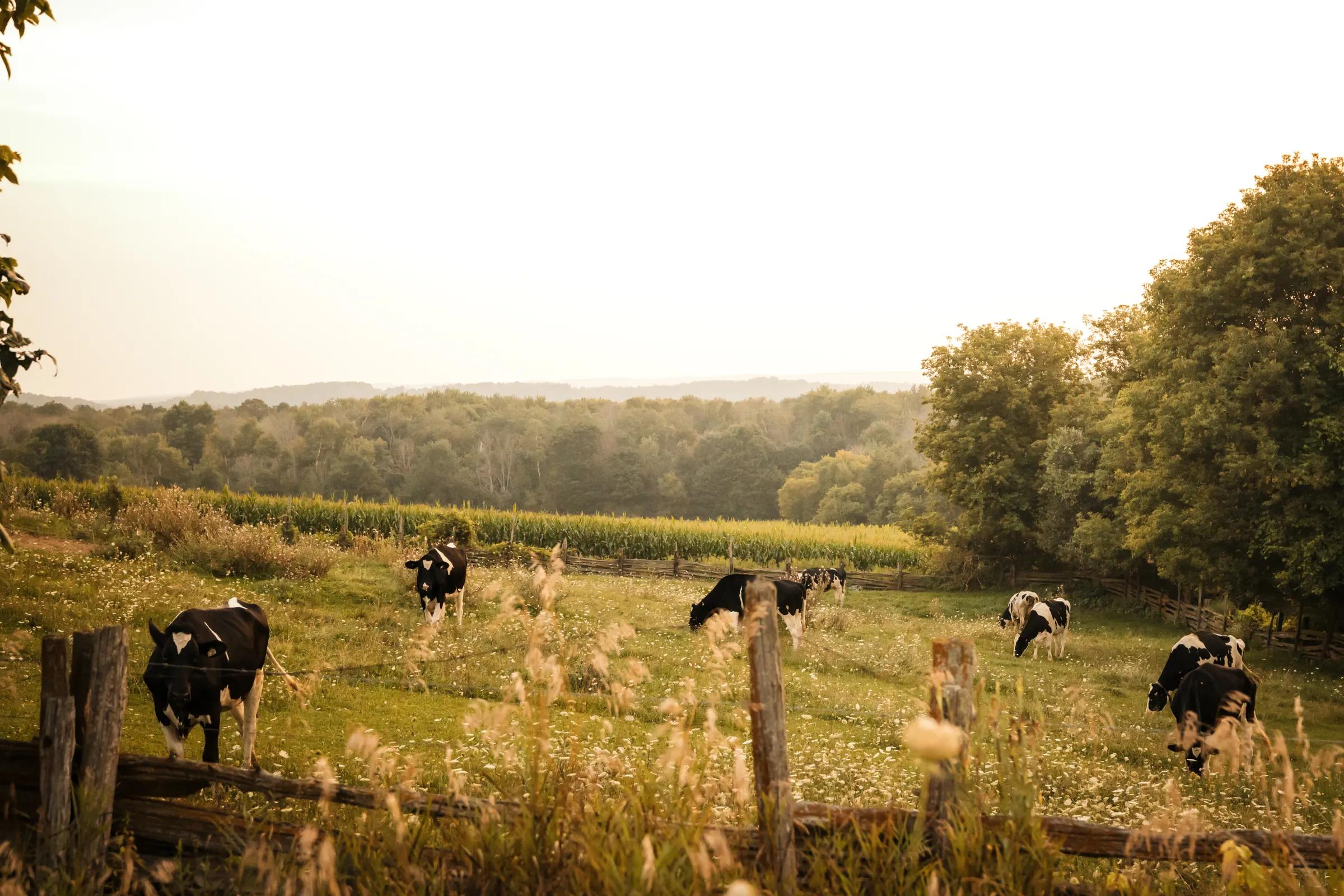 Agriculture